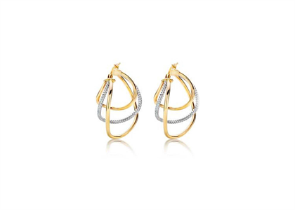 Two Tone Plated | Fashion Earrings